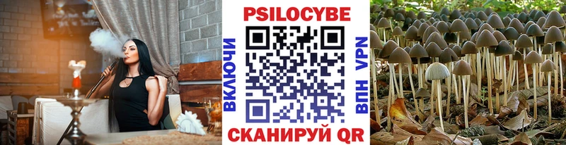 Псилоцибиновые грибы Cubensis  купить наркотик  Ильский 